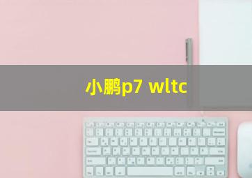 小鹏p7 wltc